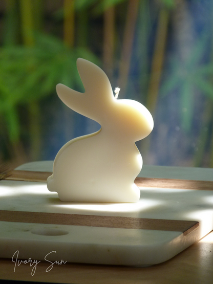 Bunny Candle, sculptural candle, soy candle, scented soy candle, essential oils candle, beeswax candle, non toxic candles, decor candles, Sculptural candles Australia
Decorative candles Australia
Beeswax candles Australia
Handcrafted soy candles
Modern candles Australia
Bunny Candles Australia
Gift ideas for home lovers 
Housewarming gifts Australia
Sculptural Candles
Candles, Candles Australia
Sculptural Candles Australia
Gift ideas, Easter candles