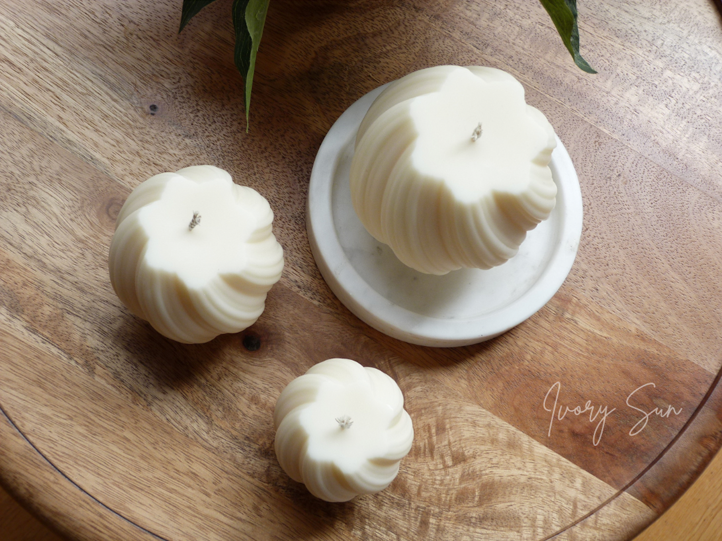Swirl Candle, sculptural candle, soy candle, scented soy candle, essential oils candle, beeswax candle, non toxic candles, decor candles, Sculptural candles Australia
Decorative candles Australia
Beeswax candles Australia
Handcrafted soy candles
Modern candles Australia
Swirl candles Australia
Gift ideas for home lovers 
Housewarming gifts Australia
Sculptural Candles
Candles
Candles Australia, home decor